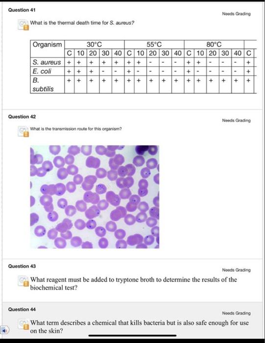 solved-question-41-what-is-the-thermal-death-time-for-s-chegg