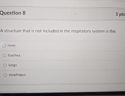 Solved Question 85 ﻿ptsA structure that is not included in | Chegg.com