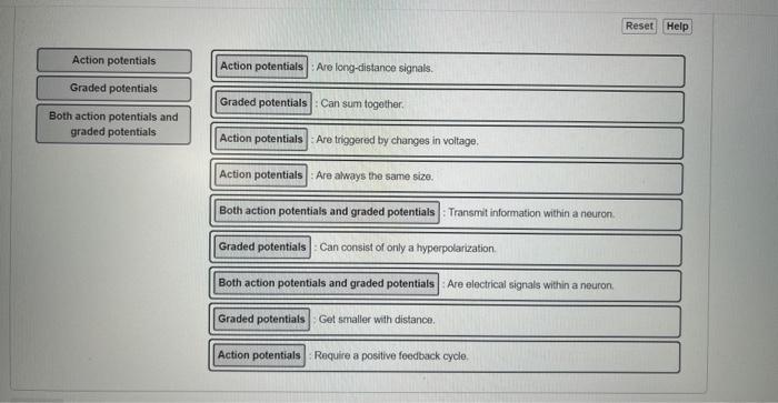 Solved Action Potentials Action Potentials : Are | Chegg.com