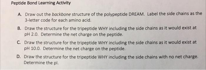 Solved Peptide Bond Learning Activity A. Draw out the | Chegg.com