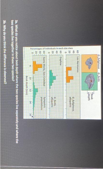 Solved 1. What Is Biodiversity? Describe Three Levels Of | Chegg.com