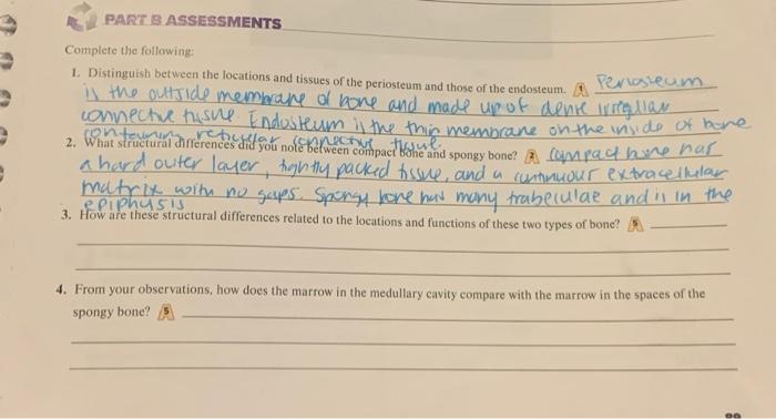 1. Distinguish between the locitions and tissues of the periosteum and those of the endosteum. A Perleslecm 11 the outside me