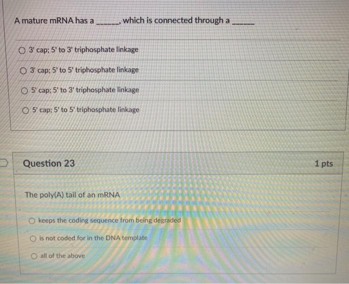 Solved A mature mRNA has a which is connected through a 3' | Chegg.com