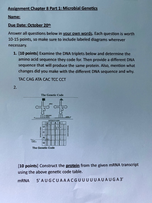 Solved Assignment Chapter 8 Part 1: Microbial Genetics Name: | Chegg.com