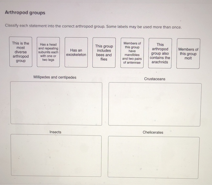 Solved Arthropod groups Classify each statement into the | Chegg.com