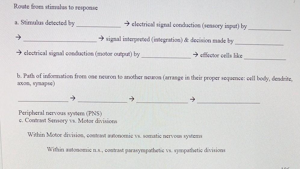 Solved Route from stimulus to response a. Stimulus detected | Chegg.com