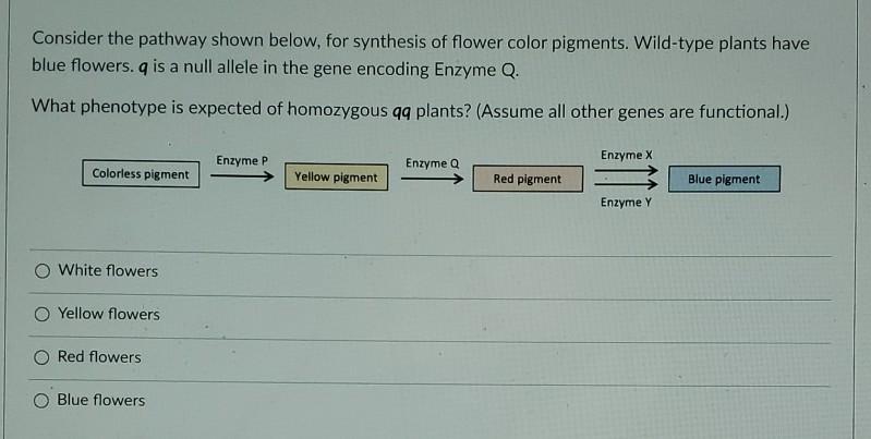 Solved Consider The Pathway Shown Below, For Synthesis Of | Chegg.com