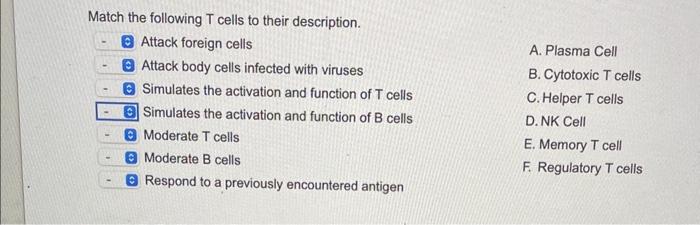 Solved Match The Following T Cells To Their Description. | Chegg.com