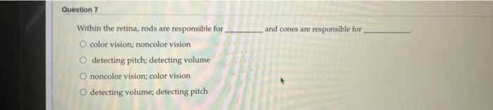 Solved Within the retina, rods are responsible for and cones | Chegg.com