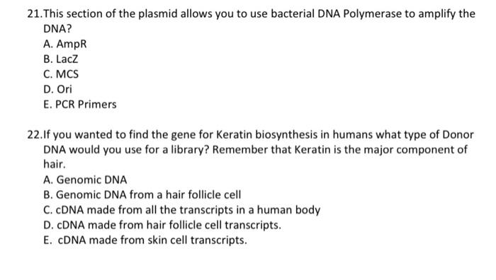 Solved Section 3. Answer The Following Questions On Cloning | Chegg.com