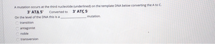 Solved A mutation that destroyed 3' to 5' exonuclease | Chegg.com