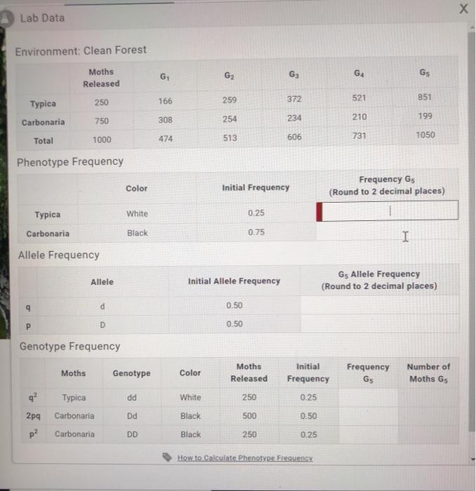 Solved Х Lab Data Environment: Clean Forest Moths Released G | Chegg.com