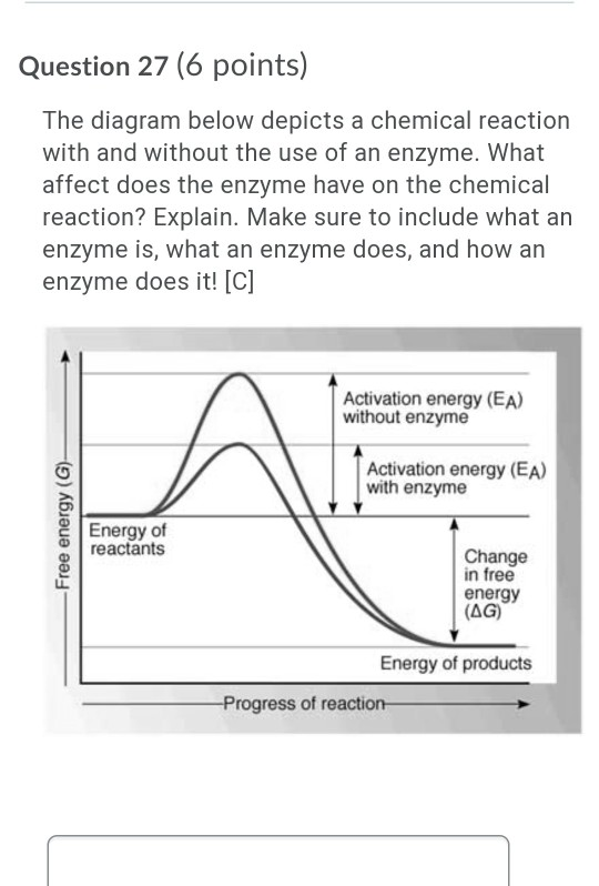Solved Question 27 (6 points) The diagram below depicts a