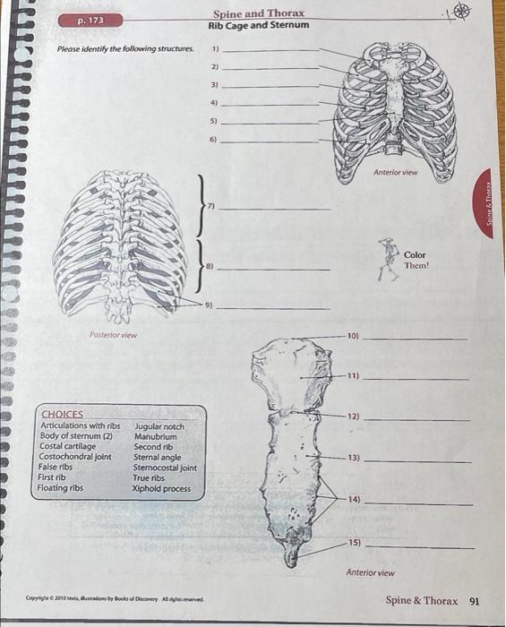 Solved p. 173 Spine and Thorax Rib Cage and Sternum Please | Chegg.com