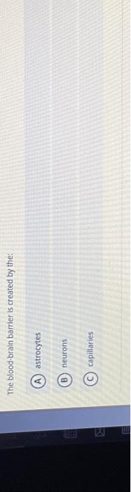 Solved The blood-brain barrier is created by the: astrocytes | Chegg.com