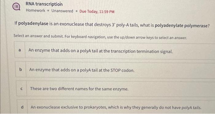 Solved RNA transcription Homework - Unanswered - Due Today, | Chegg.com