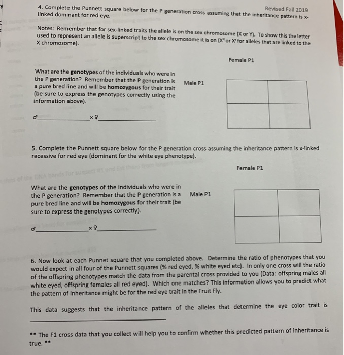 Solved Set Up A Punnett Square Using The Following Set, 57% OFF