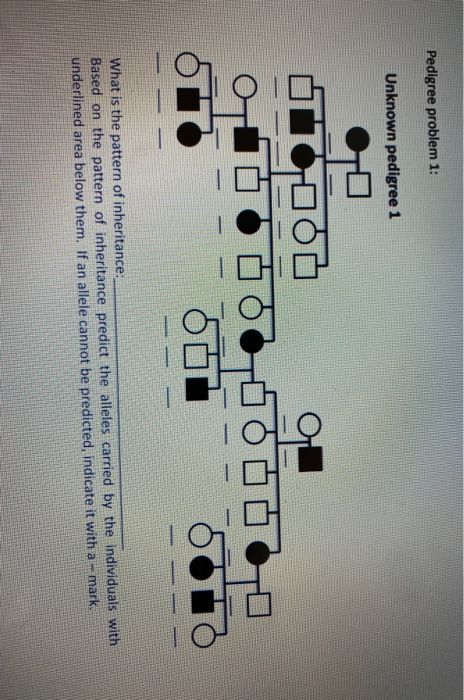 Solved Pedigree problem 1: Unknown pedigree 1 TOO 어 0 이 100 | Chegg.com
