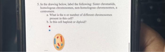 Solved 5. In the drawing below, label the following: Sister | Chegg.com