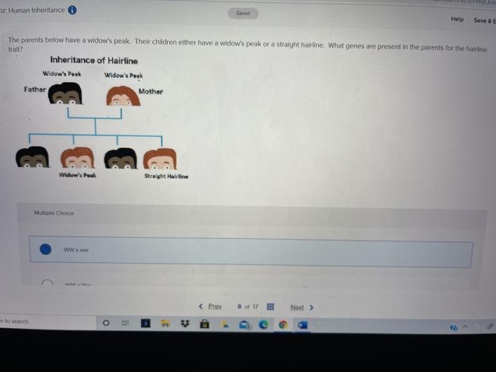 Solved Iz: Human Inheritance Saved Help Save & E The parents | Chegg.com