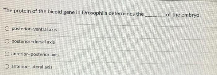 Solved The protein of the bicoid gene in Drosophila | Chegg.com