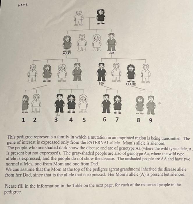 Solved This pedigree represents a family in which a mutation | Chegg.com
