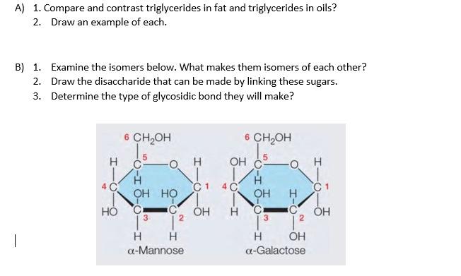 The Surprising Properties Of Triglycerides Beyond Just Fat - coimflx