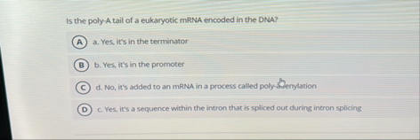 Solved Is the poly-A tail of a eukaryotic mRNA encoded in | Chegg.com
