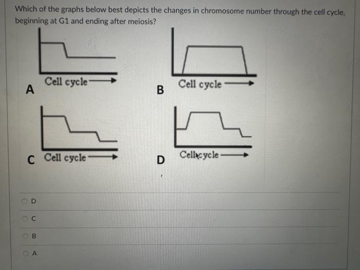 Solved Which of the graphs below best depicts the changes in | Chegg.com