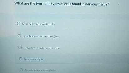 Solved What are the two main types of cells found in nervous | Chegg.com