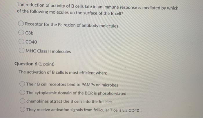 Solved The Reduction Of Activity Of B Cells Late In An | Chegg.com