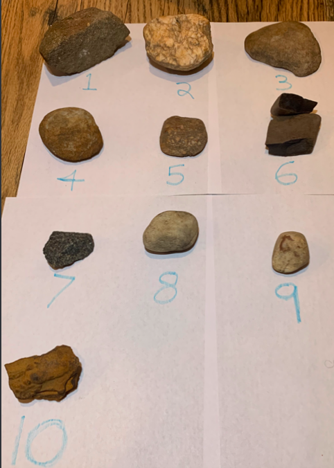 Solved For specimen 1 - 1 0 , ﻿"NAME" ﻿each type of rock AND | Chegg.com