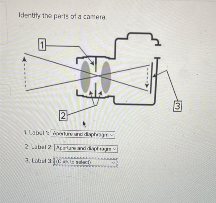 Identify the parts of a camera. | Chegg.com