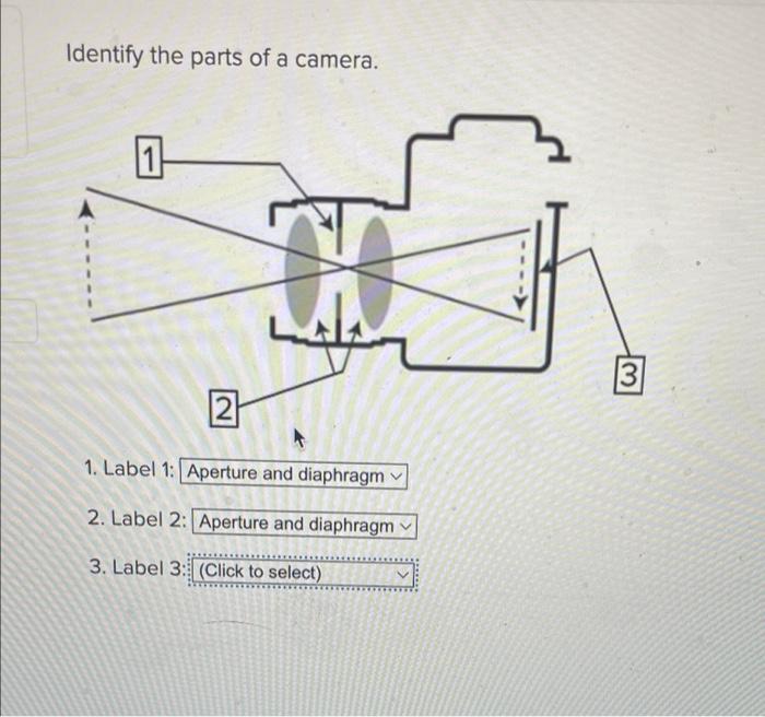 Identify The Parts Of A Camera. | Chegg.com