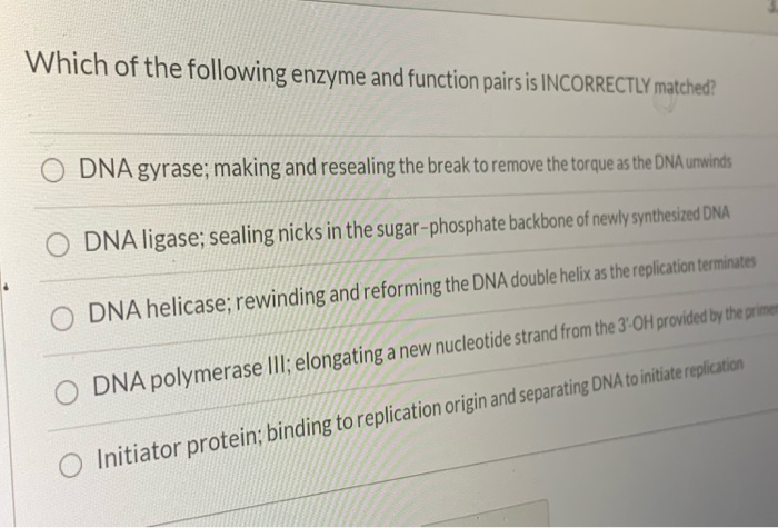 Solved Which Of The Following Enzyme And Function Pairs Is | Chegg.com Solved Which Of The Following Enzyme And Function Pairs Is | Chegg.com