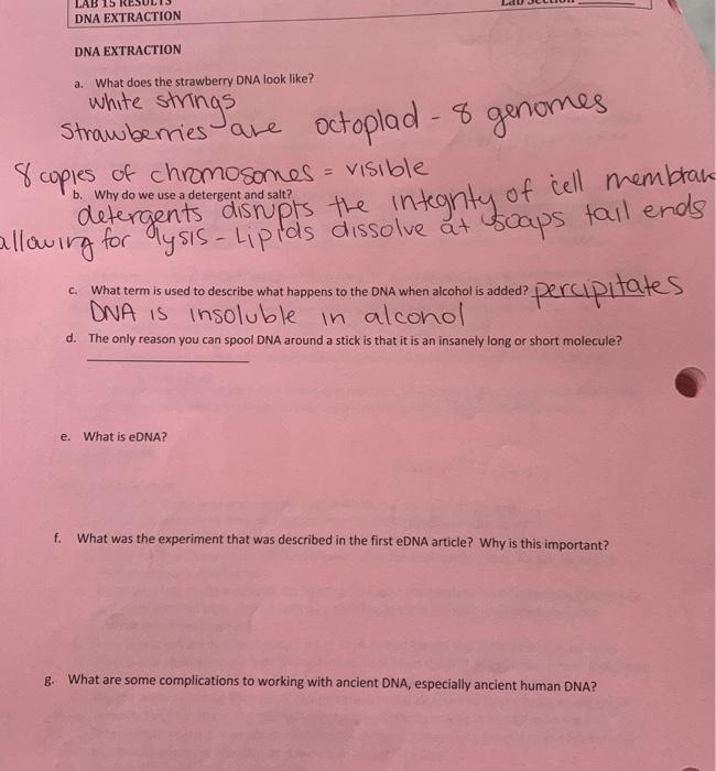 Solved a. What does the strawberry DNA look like? white
