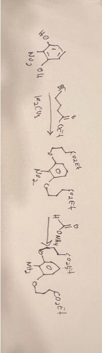 Solved Please Show Detailed Mechanism Step By Step And | Chegg.com