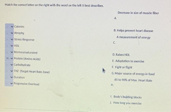 Solved Match the correct letter on the right with the word | Chegg.com