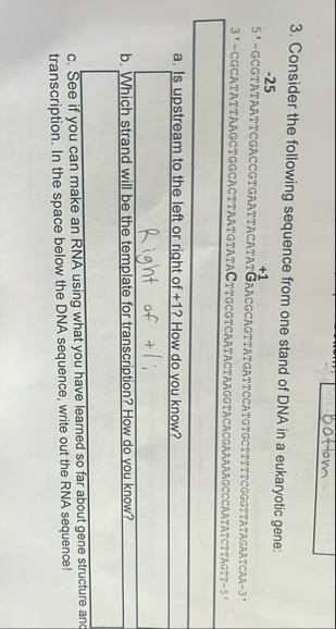 Solved Bottom3. ﻿Consider the following sequence from one | Chegg.com