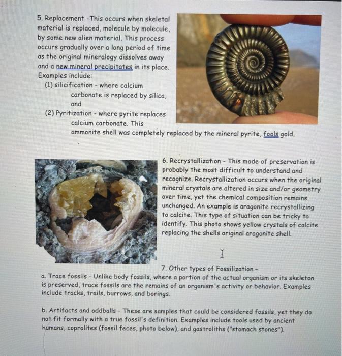 Solved Types of fossils There are many ways in which a 