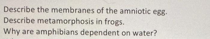 Solved Describe the membranes of the amniotic egg. Describe | Chegg.com