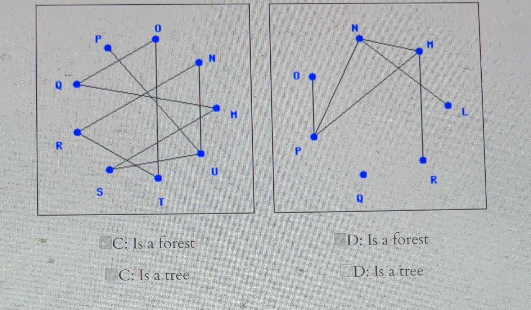 C: Is a forest
D: Is a forest
C: Is a tree
D: Is a tree