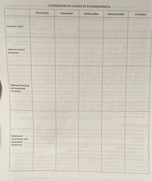 Solved COMPARISON OF CLASSES OF ECHINODERMATA Reproduction | Chegg.com