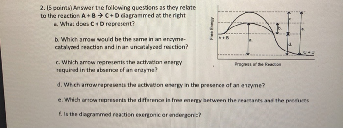 Solved 2 6 Points Answer The Following Questions As They Chegg