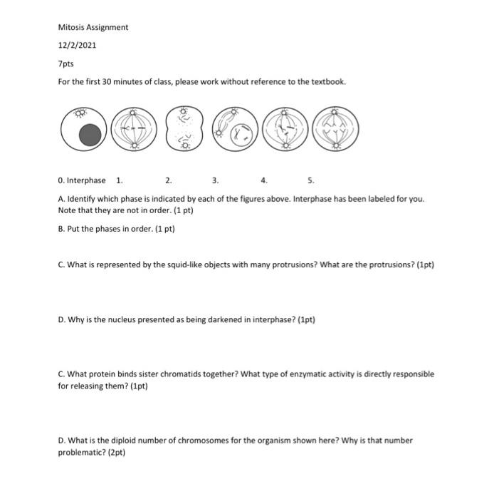 solved-can-i-receive-help-on-the-last-question-what-is-the-chegg