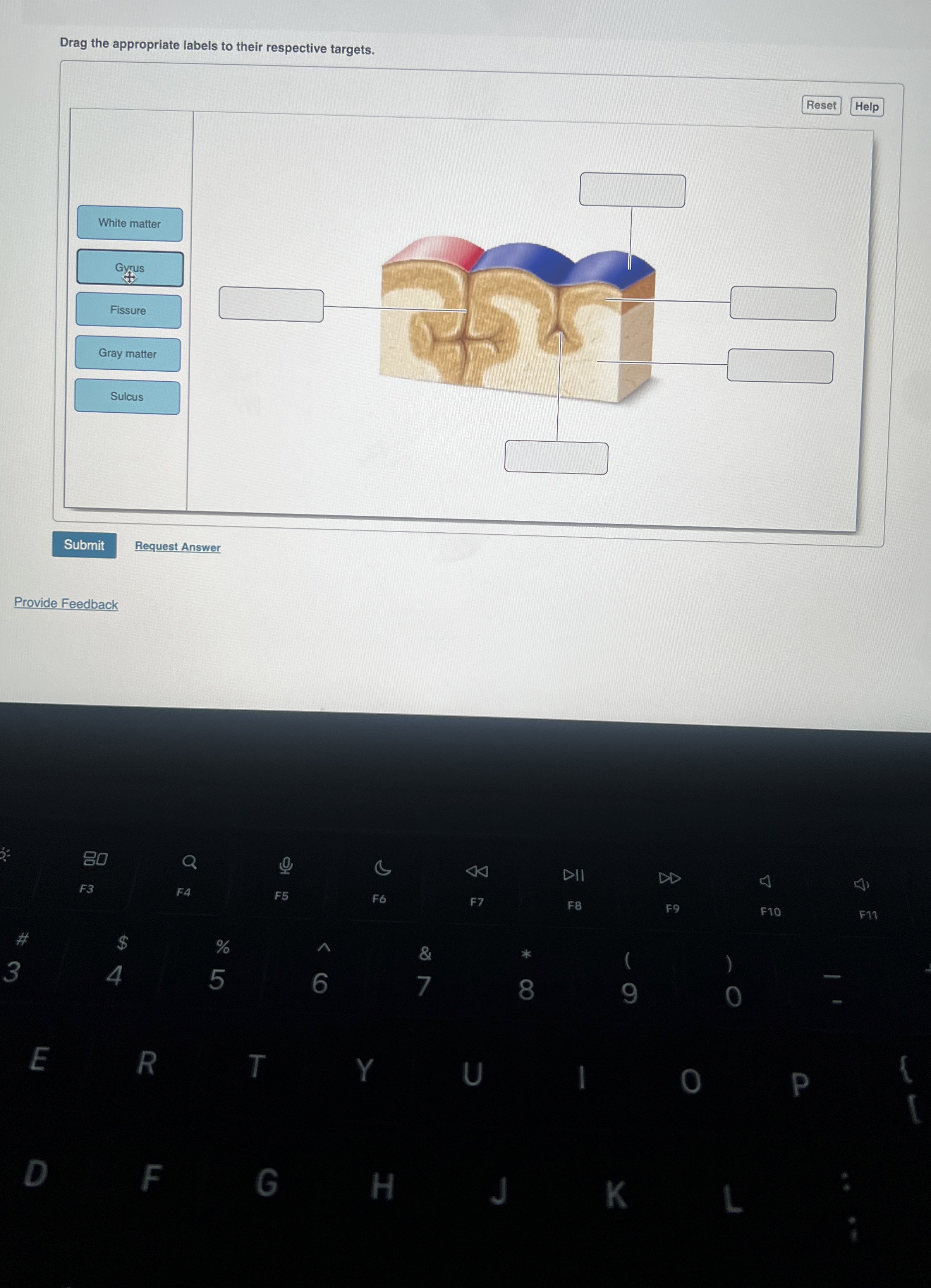 Dedrag The Appropriate Labels To Their Respective Targets. Chegg - 6dazumw