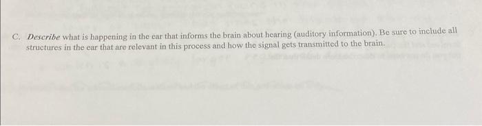 Solved C. Describe what is happening in the ear that informs | Chegg.com