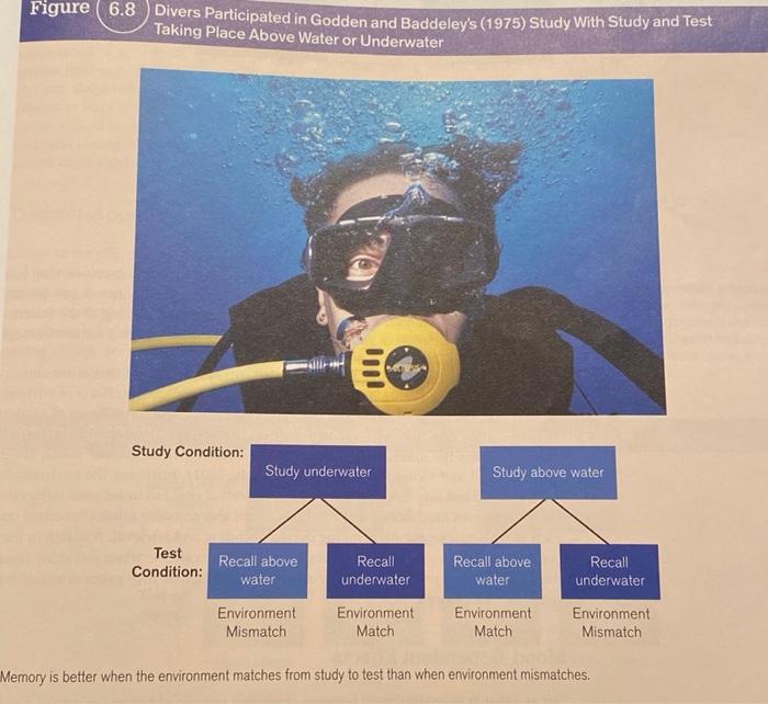 Solved 1. What is the testing effect? Summarize the study by | Chegg.com