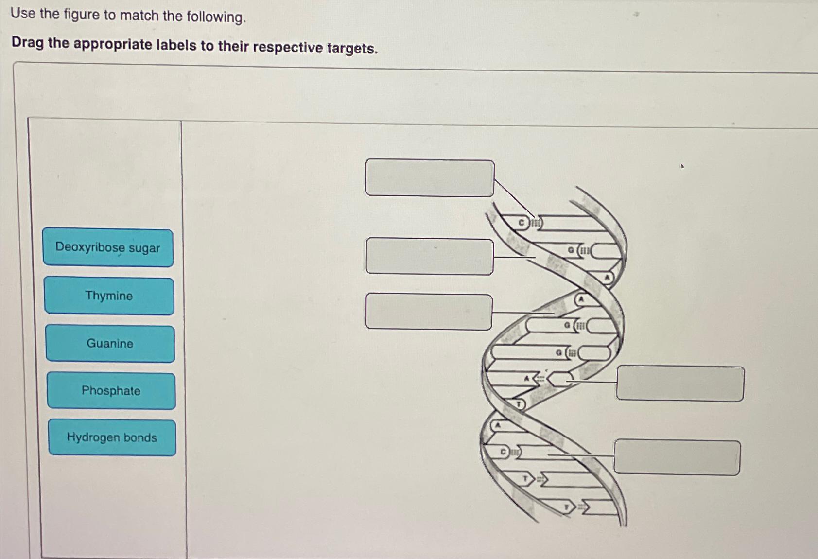 Solved Use The Figure To Match The Following.Drag The | Chegg.com