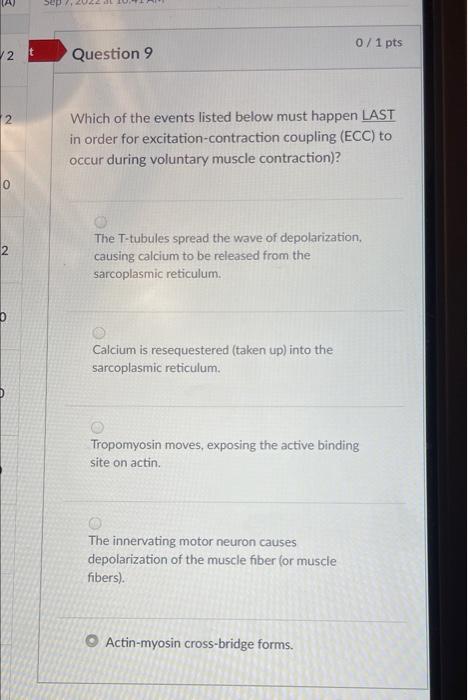Which of the events listed below must happen LAST in order for excitation-contraction coupling (ECC) to occur during voluntar